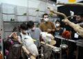 JIPS 2026 Catatkan 24.387 Pengunjung dan 120 Eksibitor, Tunjukkan Ekosistem Hewan Peliharaan Indonesia Terus Bertumbuh