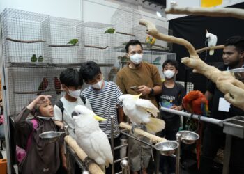 JIPS 2026 Catatkan 24.387 Pengunjung dan 120 Eksibitor, Tunjukkan Ekosistem Hewan Peliharaan Indonesia Terus Bertumbuh