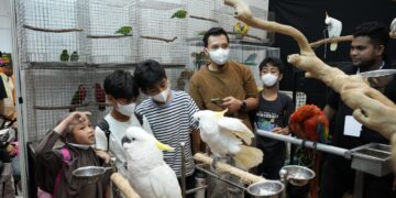 JIPS 2026 Catatkan 24.387 Pengunjung dan 120 Eksibitor, Tunjukkan Ekosistem Hewan Peliharaan Indonesia Terus Bertumbuh