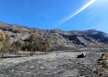 Ini Sikap Kementerian Pariwisata Terkait Kebakaran di Kawasan Bromo