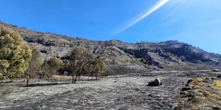 Ini Sikap Kementerian Pariwisata Terkait Kebakaran di Kawasan Bromo
