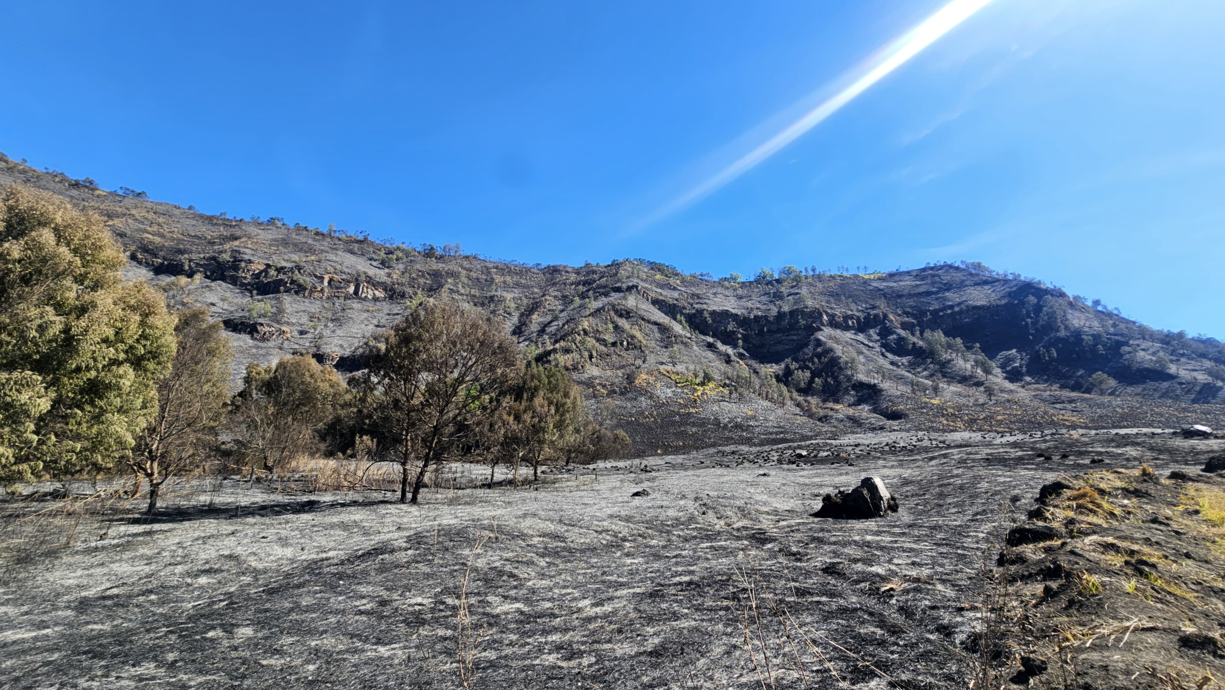 Ini Sikap Kementerian Pariwisata Terkait Kebakaran di Kawasan Bromo