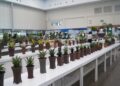 FLOII Expo 2026 Diikuti 120 Exhibitor, Suguhkan Keanekaragaraman Tanaman Hias Eksotis