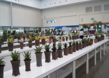FLOII Expo 2026 Diikuti 120 Exhibitor, Suguhkan Keanekaragaraman Tanaman Hias Eksotis