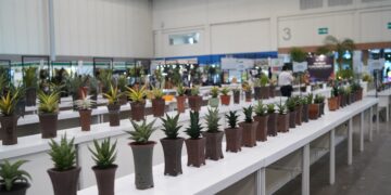 FLOII Expo 2026 Diikuti 120 Exhibitor, Suguhkan Keanekaragaraman Tanaman Hias Eksotis