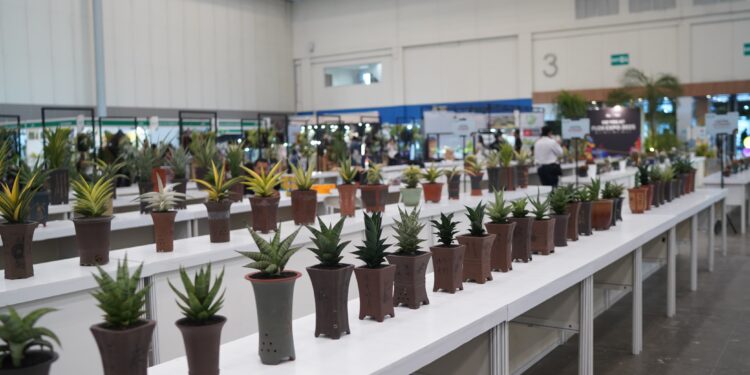 FLOII Expo 2026 Diikuti 120 Exhibitor, Suguhkan Keanekaragaraman Tanaman Hias Eksotis