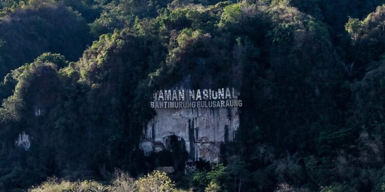 Eksotisme “The Kingdom of Butterfly”, TN Bantimurung-Maros, Sulawesi Selatan